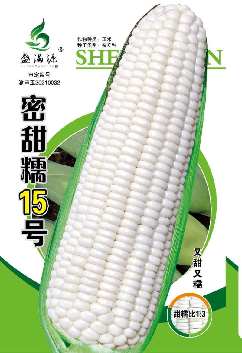 加甜糯玉米种子重庆发货到全国小甜糯928早熟