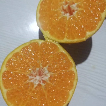 春见耙耙柑