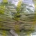 白芸豆，白不老，白豆。刚刚上市有需求的老板联系，可代发。