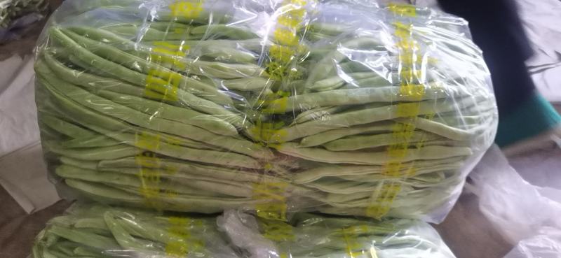 白芸豆，白不老，白豆。刚刚上市有需求的老板联系，可代发。