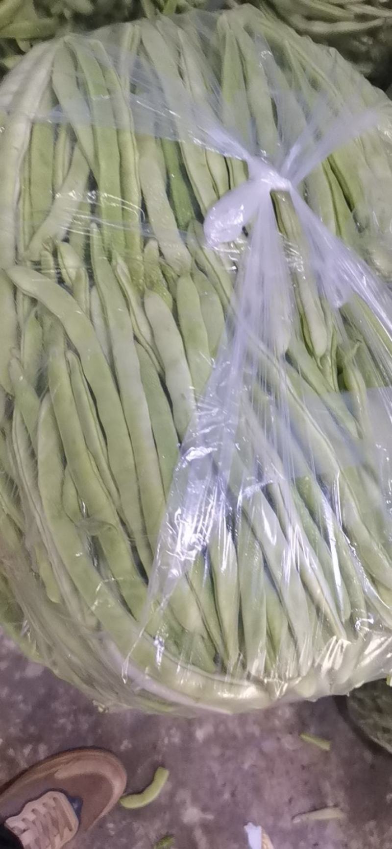 白芸豆，白不老，白豆。刚刚上市有需求的老板联系，可代发。