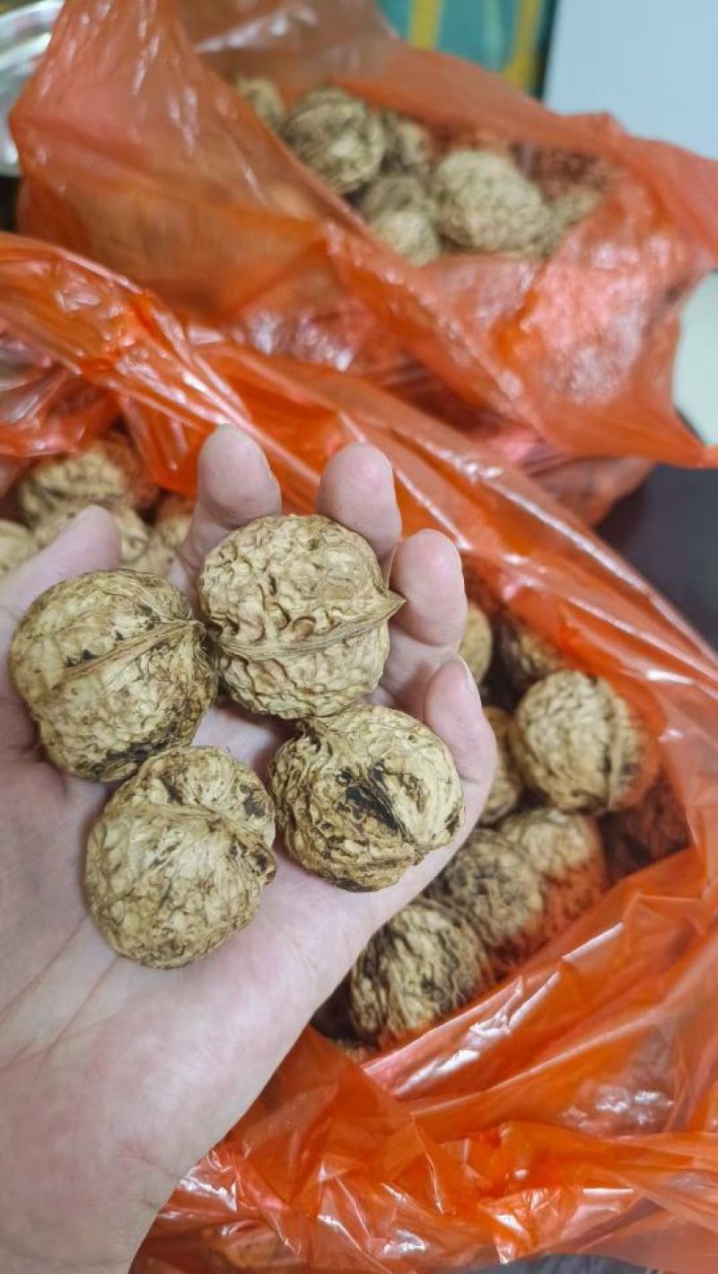 云南古核桃
