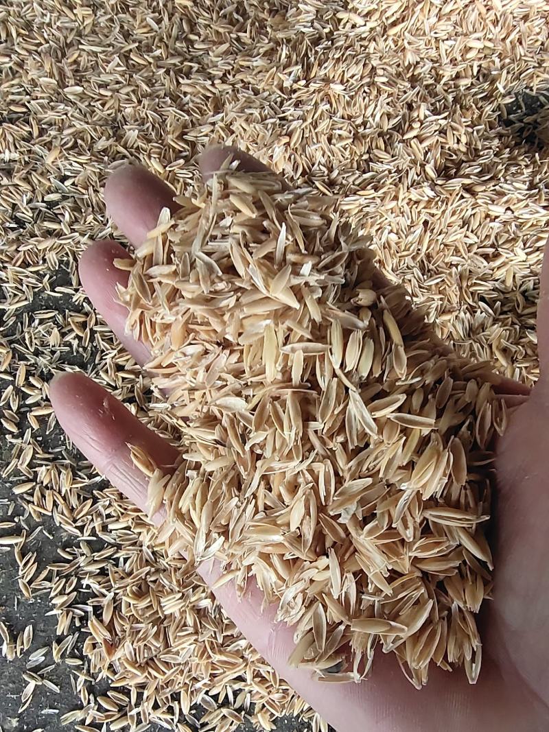养殖饲料牛料进口燕麦壳