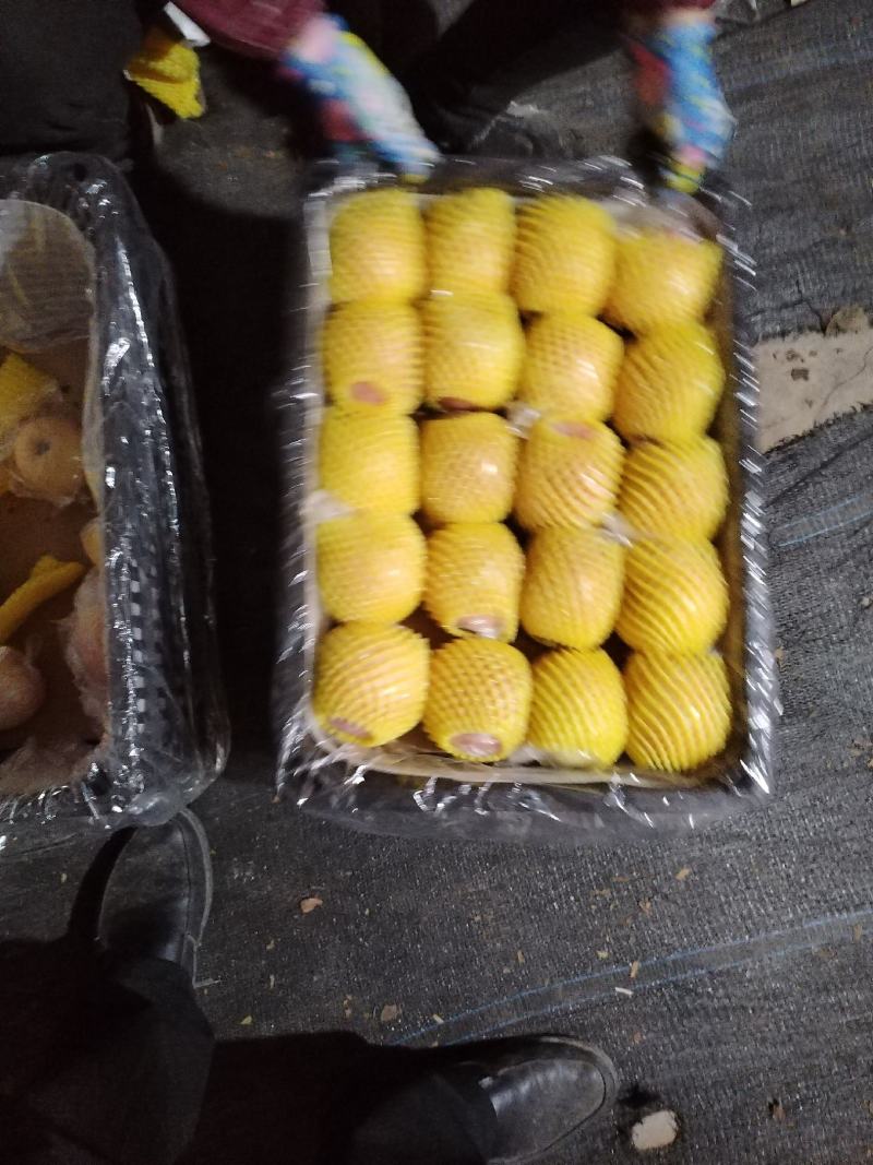 红富士苹果