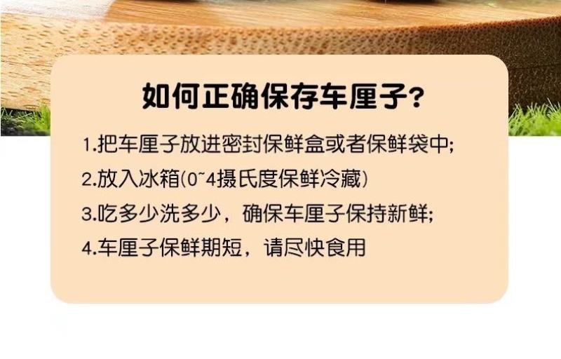 智利车厘子，顺丰一件代发，次日达，对接电商