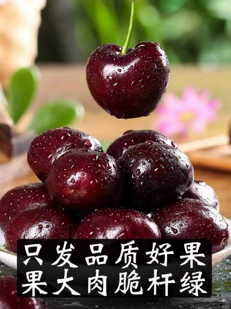 智利车厘子，顺丰一件代发，次日达，对接电商