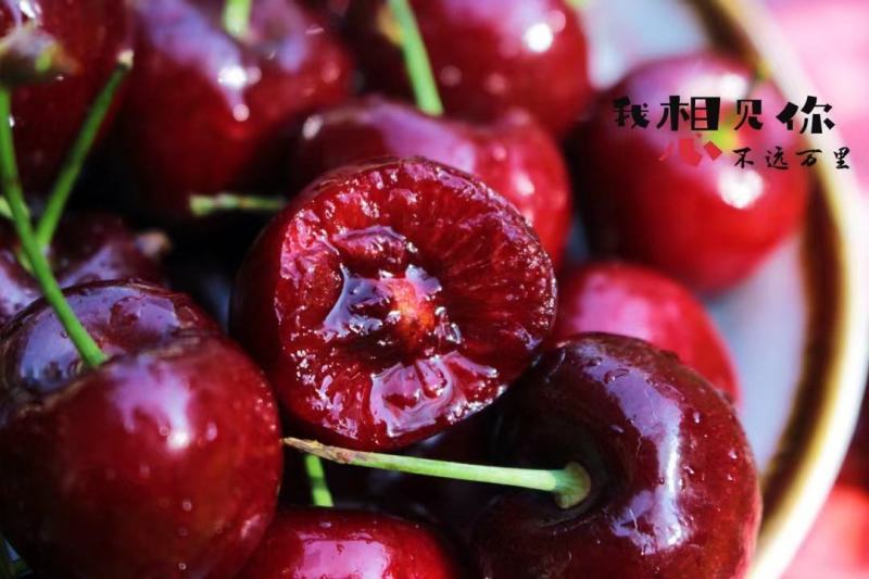 智利车厘子，顺丰一件代发，次日达，对接电商