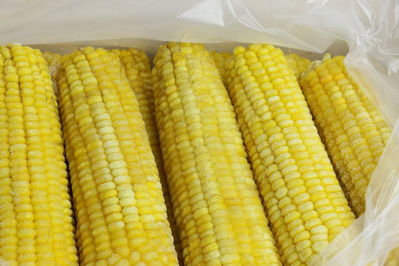 速冻玉米冻玉米熟冻甜糯整车发货散装箱装量大优惠