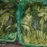大叶菠菜大量供应，货源稳定，要的老板提前联系
