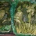大叶菠菜大量供应，货源稳定，要的老板提前联系