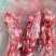 加肉牛脖骨肉含量高，价格便宜老板们别再当了，抓紧时间下单