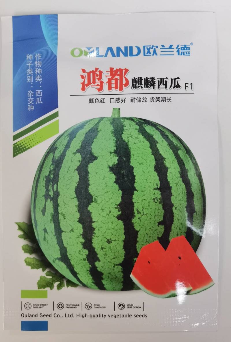 欧兰德鸿都麒麟西瓜种子美都大红瓤耐裂皮薄甜脆8424