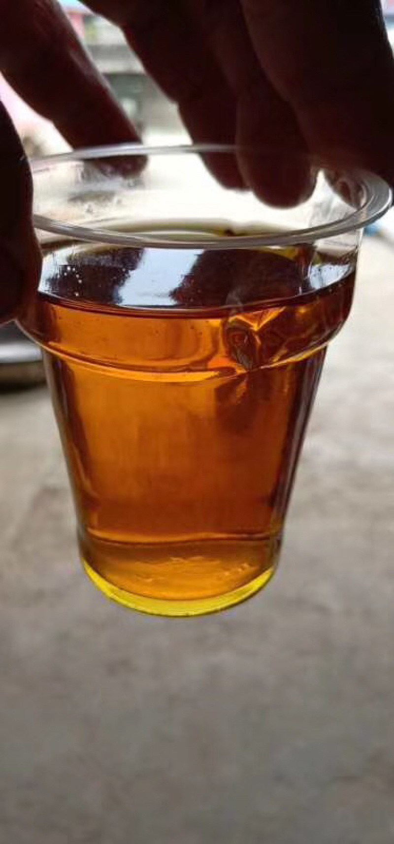 高含油江苏菜籽手工精选无杂质出油率高常年供应产地直发