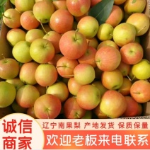 辽宁南果梨，全国发货，代收代办，保质保量，长期合作
