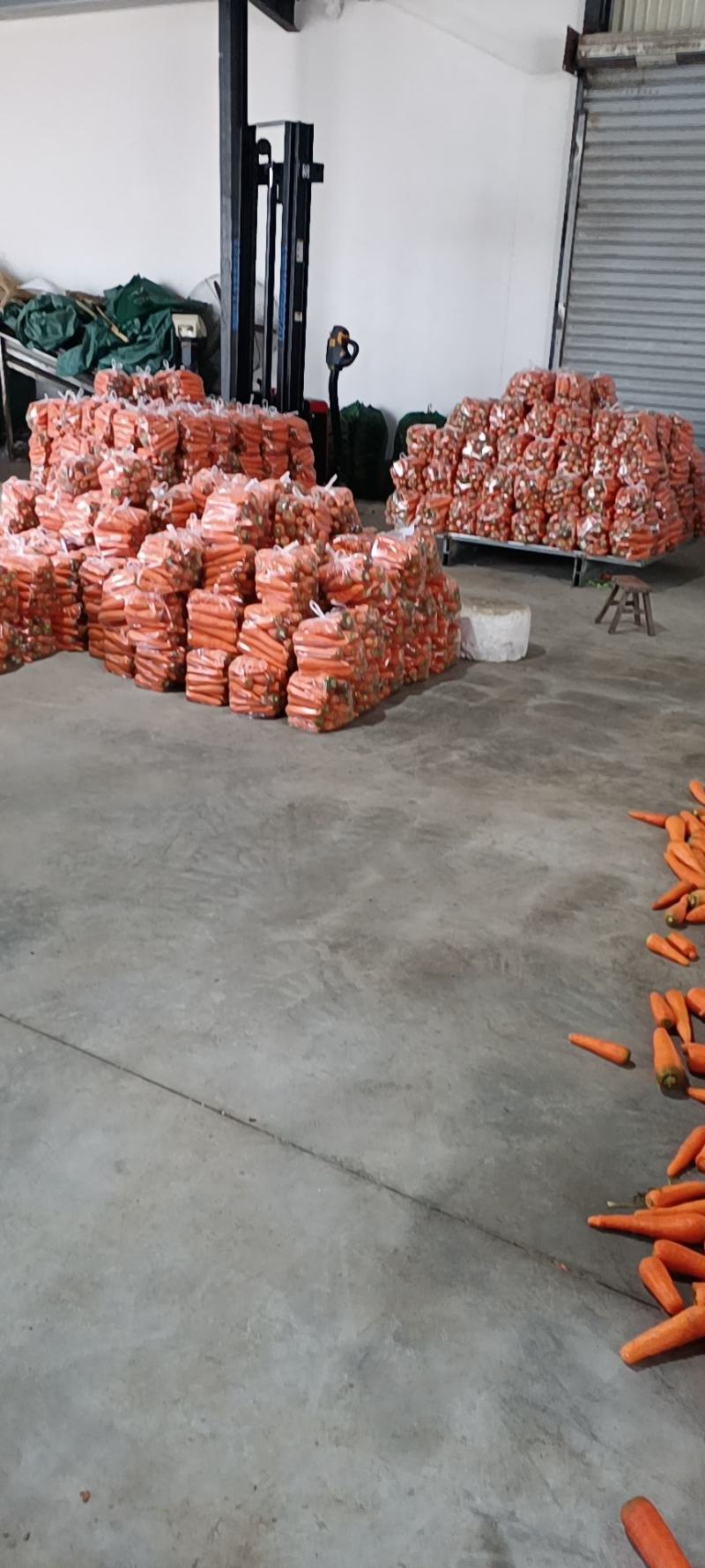 大量供应市场三红胡萝卜