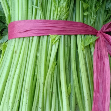 小叶芹菜