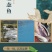 云南昆明文山丘北鲜活鲈鱼大口黑鲈加州鲈鱼淡水鲈鱼，