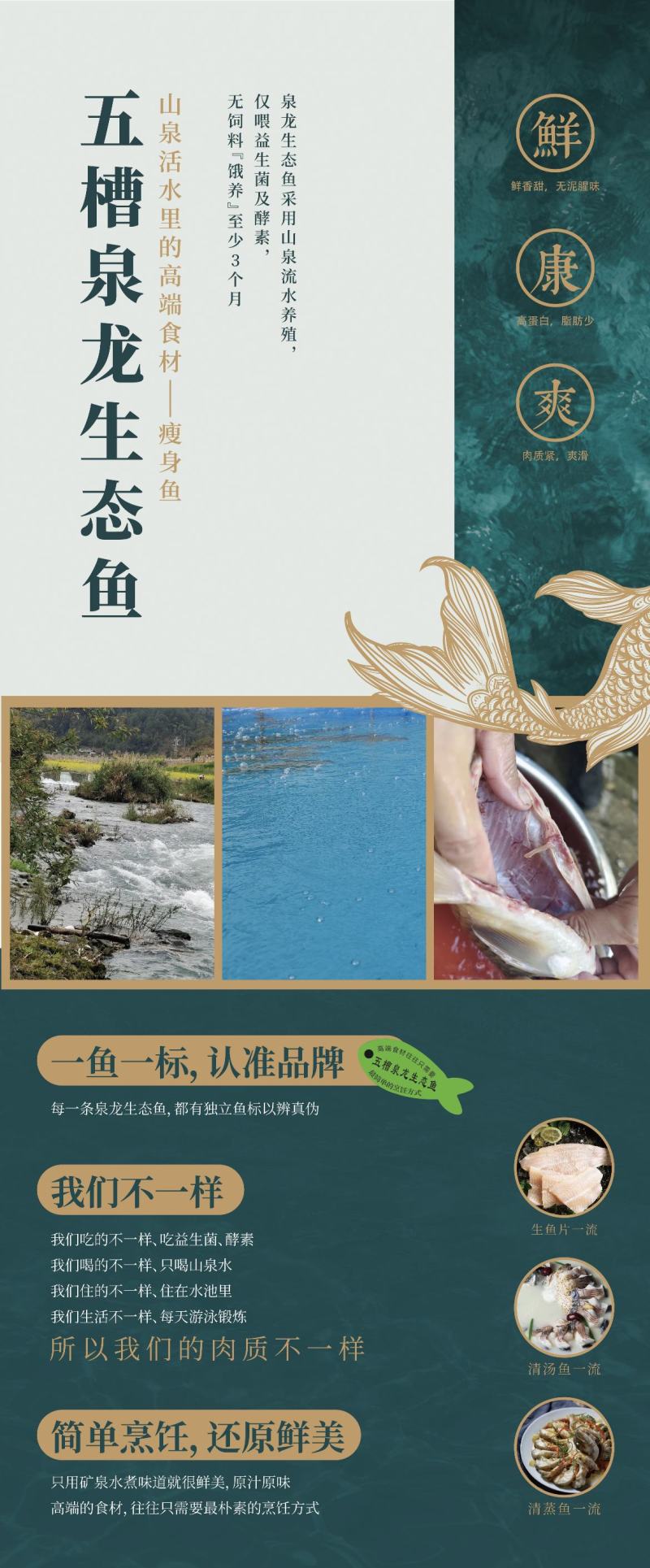 云南昆明文山丘北鲜活鲈鱼大口黑鲈加州鲈鱼淡水鲈鱼，