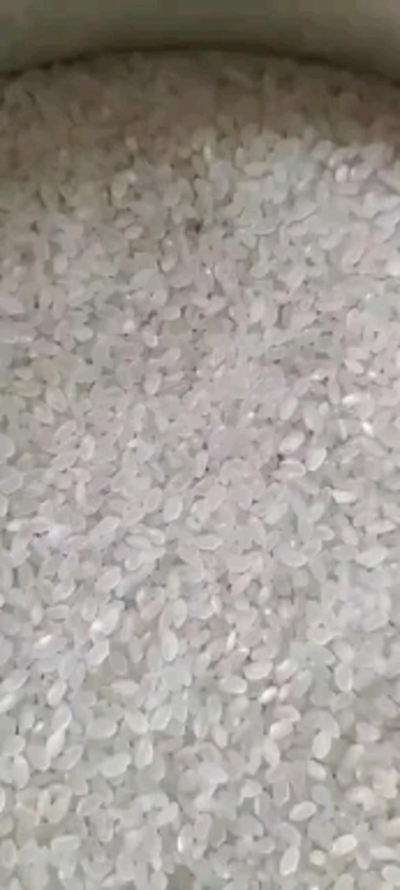 2022年新米稻花香米东北大米5斤10斤精品小包装