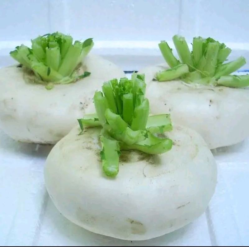 盘菜，品种好，口感脆嫩，