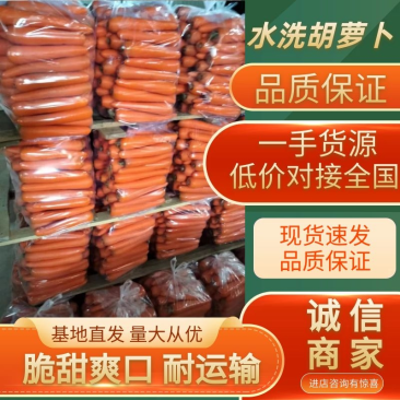 开封胡萝卜水洗胡萝卜按需包装电商商超社区团购