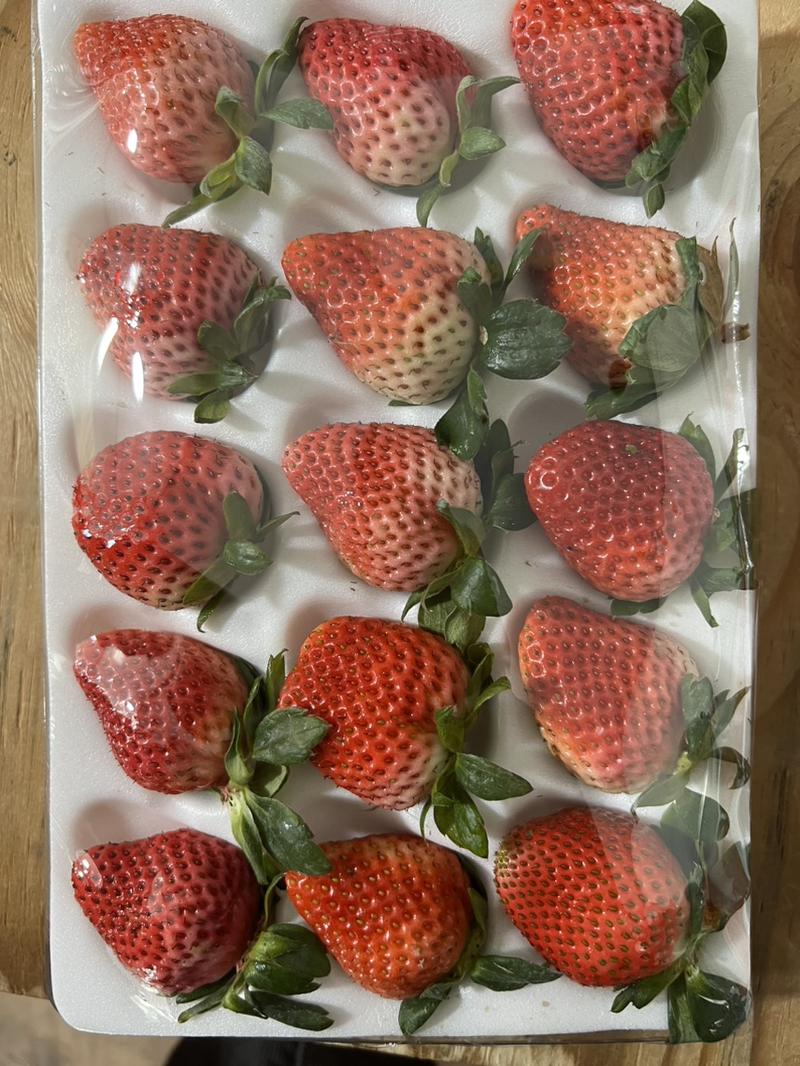 云南冬草莓