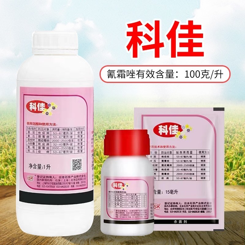 科佳100克/升氰霜唑黄瓜涮霜霉病番茄马铃薯晚疫杀菌剂