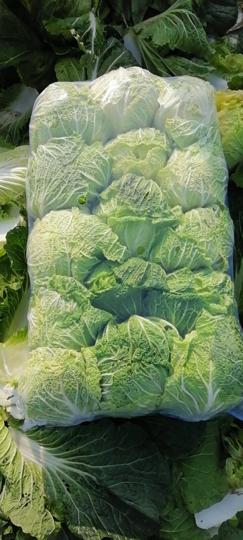 嘉鱼黄心大白菜产地直发湖北矮颗精品大白菜一手货源全国发货