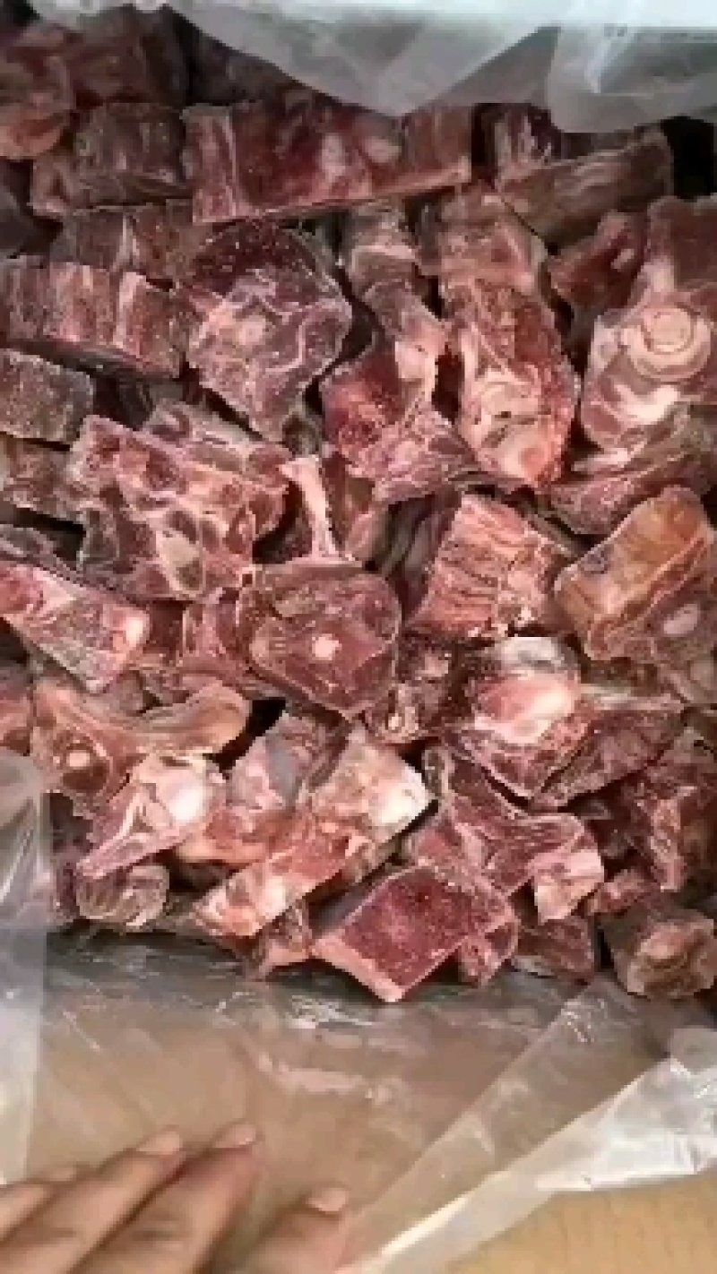 羔羊羊蝎子。适用于全羊馆，酱香羊骨头馆肉多鲜度好，
