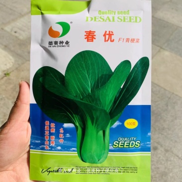 德赛春优耐寒青梗菜种子一代杂交越冬抗寒青菜种子油绿抗病