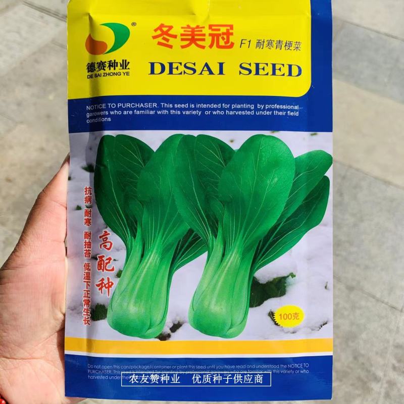 冬美冠一代杂交越冬耐寒青梗菜种子叶色油绿耐抽苔青菜种子