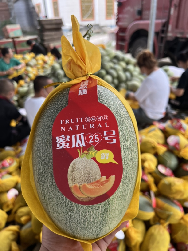 海南小蜜25号精品哈密瓜