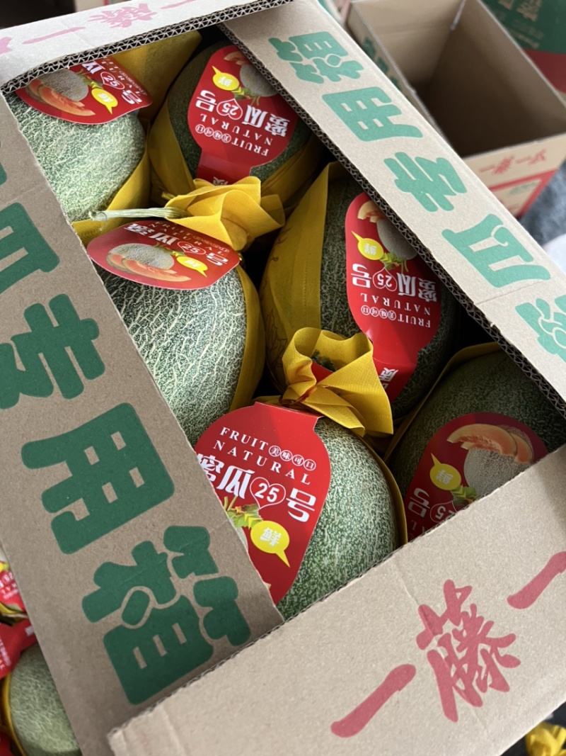 海南小蜜25号精品哈密瓜