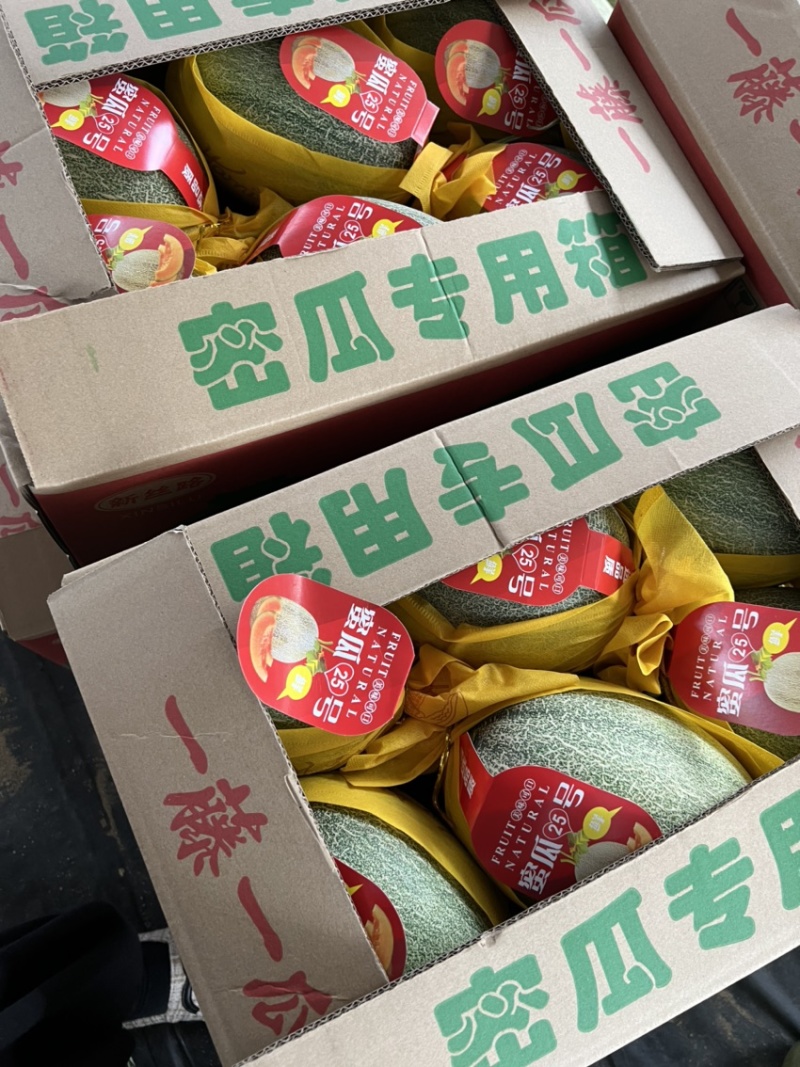 海南小蜜25号精品哈密瓜