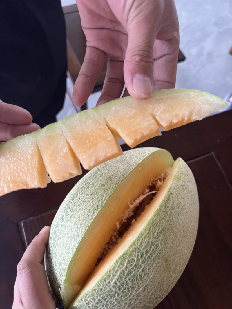 海南小蜜25号精品哈密瓜