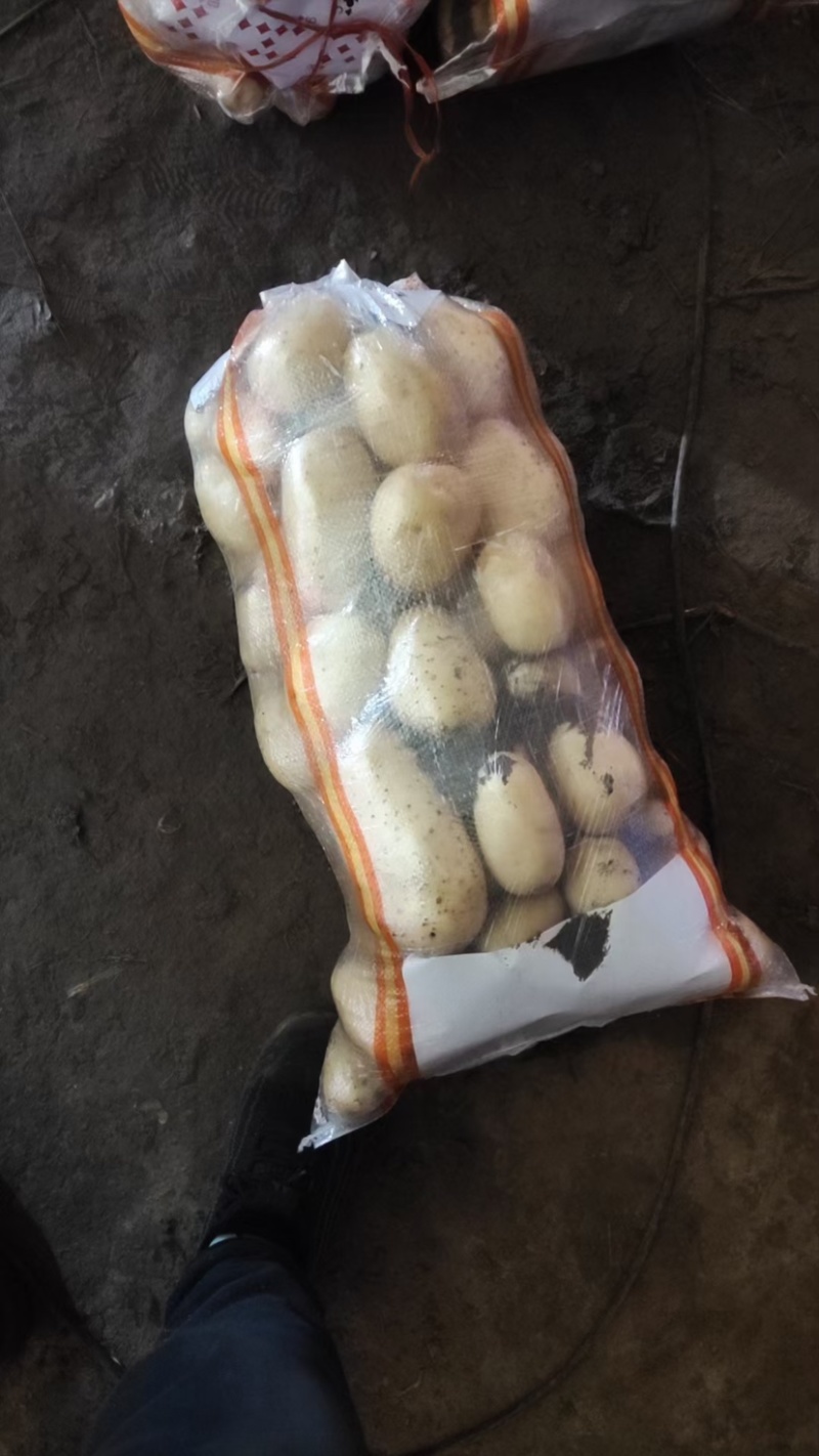 【精选】优质土豆现挖土豆大量上市全国发货欢迎下单咨询