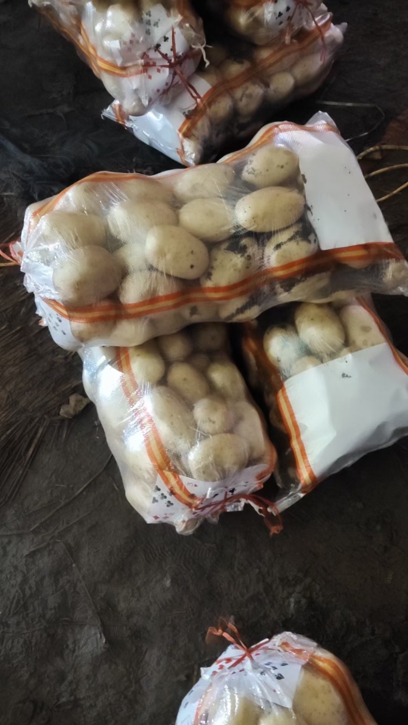 【精选】优质土豆现挖土豆大量上市全国发货欢迎下单咨询