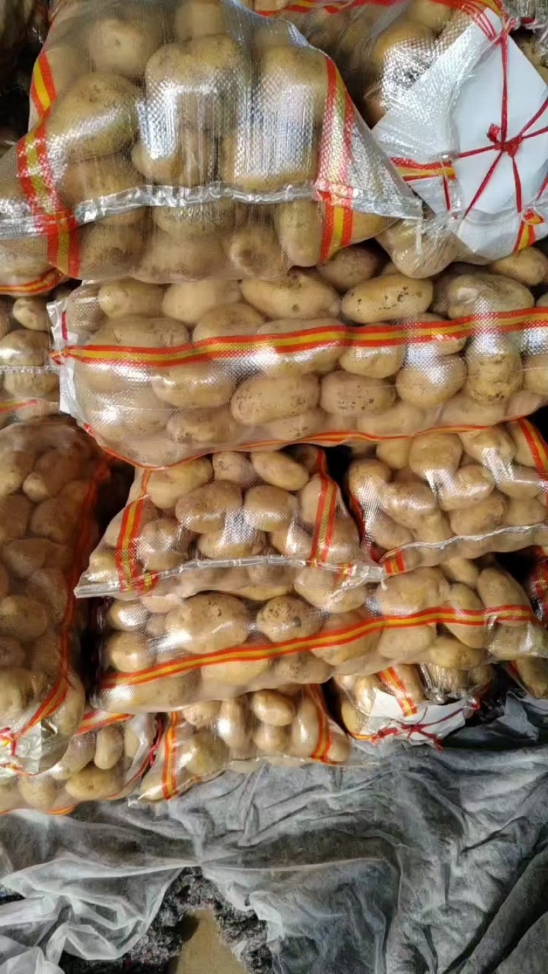 【精选】优质土豆现挖土豆大量上市全国发货欢迎下单咨询
