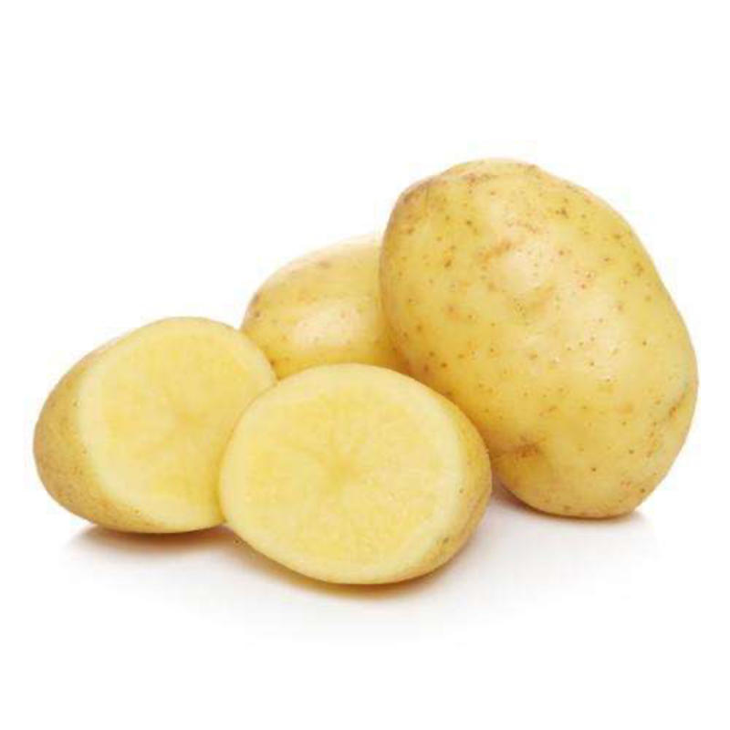 【精选】优质土豆现挖土豆大量上市整车发货欢迎下单咨询
