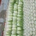 【推荐】新鲜大白菜精品白菜农家自种大量上市品种齐全
