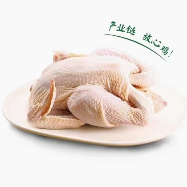 白条鸡，西装鸡，三黄鸡，规格齐全质量保证价格实惠