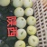 中田香妃甜瓜种子苹果型易管理结果多商品性强糖21度高