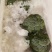 精品西蓝花，产地直发，价格实惠，品质保证！