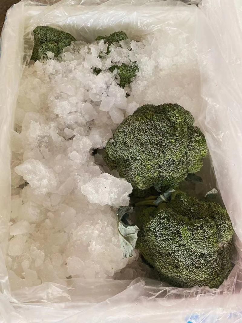 精品西蓝花，产地直发，价格实惠，品质保证！