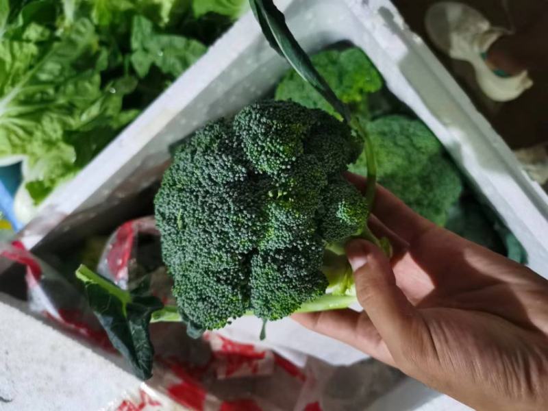 精品西蓝花，产地直发，价格实惠，品质保证！