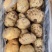 精品土豆，荷兰十五，产地直发，价格实惠，品质保证！