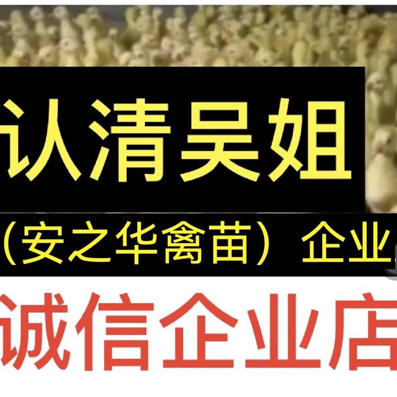 白鹅苗、质量保障，店内有（诚信企业）证明，