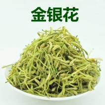 【1斤起发】河南金银花山东正银花二花无硫净货产地直销