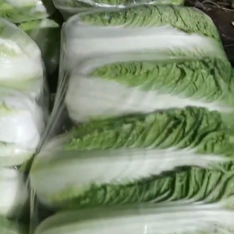 大白菜精品，精品本地大白菜，大量上市，价格优惠