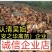 乌皮红冠鸡苗️，诚信经营，店有〈诚信企业〉证书
